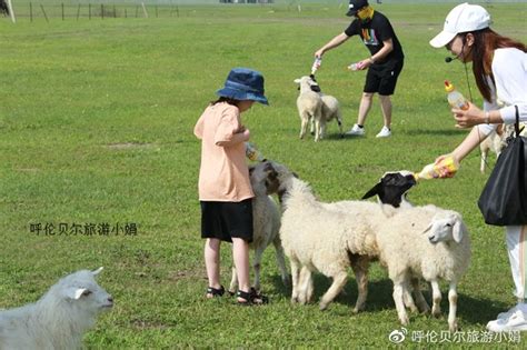 呼伦贝尔草原夏令营，7天6晚草原亲子游，呼伦贝尔研学旅行满洲里草原蒙古新浪新闻