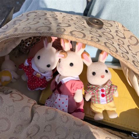 Pingl Sur Sylvanian Families En Coiffure Facile Coucou