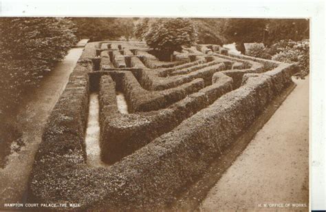 Middlesex Postcard Hampton Court Palace The Maze Real Photo Ref