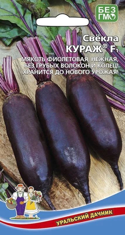 Свекла Кураж: особенности и характеристики сорта, агротехника посадки и ...