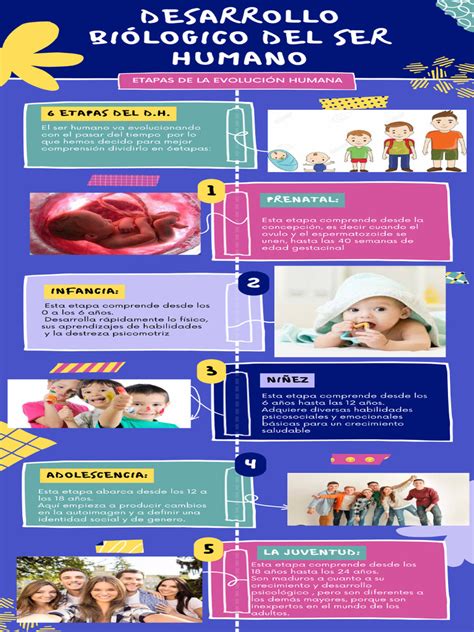 Desarrollo Biológico Del Ser Humano Pdf
