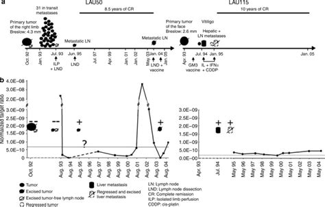 Tissue Homing And Persistence Of Defined Antigen Specific Cd8 Tumor