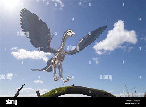 Archaeopteryx Dinosaur Skeletal Structure Illustration These Bird