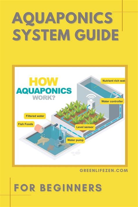 Beginners guide to aquaponics what you need and how to build a great ...