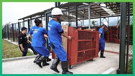 Three Moon Bears Rescued From Notorious Bear Bile Farming Hotspots In