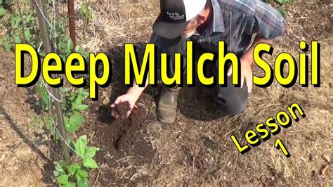 Deep Mulch Gardening Lesson Dirt Vs Soil Youtube