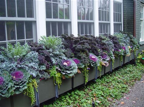 Fall Planter Box Ideas to Spruce Up Your Porch or Patio – Artourney