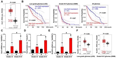 Neuronal Driven Glioma Growth Requires Gαi1 And Gαi3