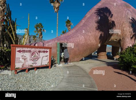 Entrance Of The Dinosaur Museum T Shop Via The Tail Of The