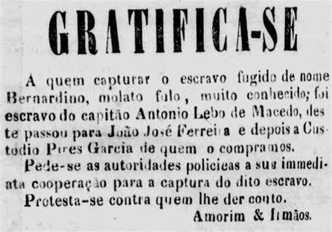 O Que An Ncios De Fuga Revelam Das Marcas Da Escravid O No Amazonas