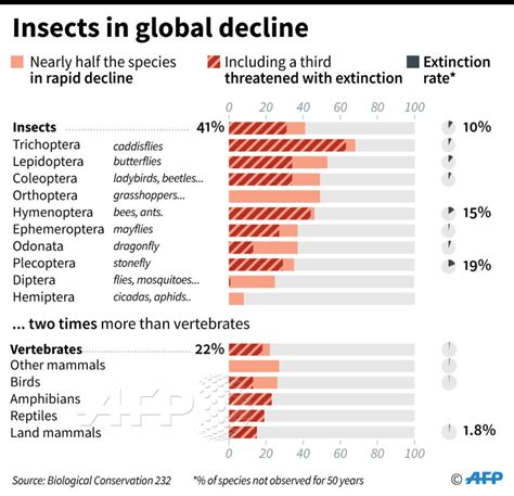 The Loss Of Insects And How It Affects Your Garden Fox Run