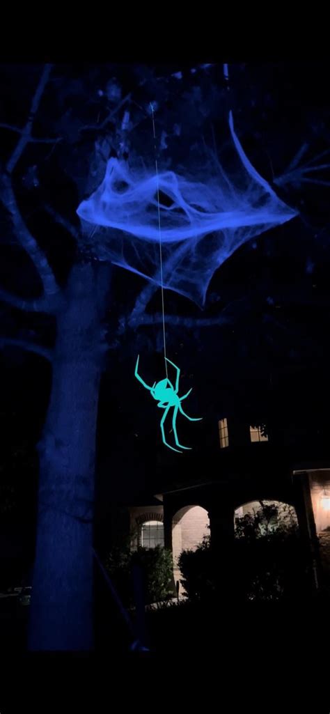 Fluorescent Glowing Spiders Rhalloween