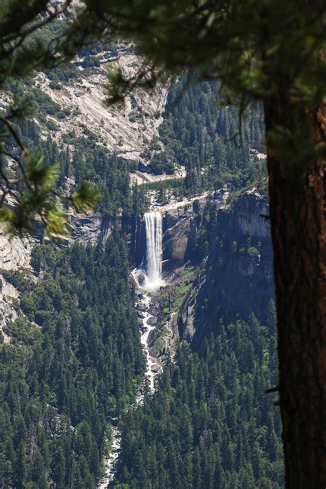 Green Trees Near Waterfalls During Daytime Photo Free Yosemite