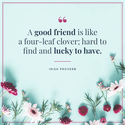 120 Friendship Quotes Your Best Friend Will Love