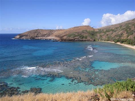 I Almost Lost My Wedding Ring Again at Hanauma Bay (Oahu, Hawaii) - InACents.com