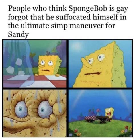 17 Hilarious Gay SpongeBob Memes The Funny Beaver