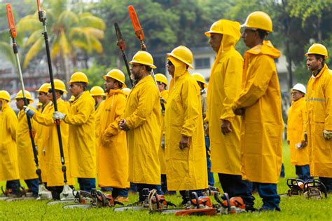 Lluvias y vientos fuertes incrementarán en las próximas horas Diario