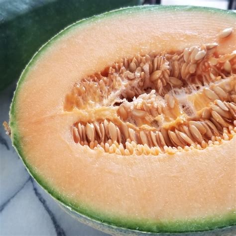 Cantaloupe Seeds Etsy