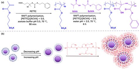 Preparation Of Polymer Nanoparticle Based Complex Coacervate Hydrogels