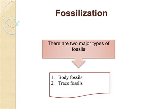 Fossilization Ppt Ppt