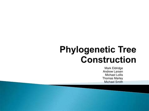 Ppt Phylogenetic Tree Construction Powerpoint Presentation Free Download Id5690422