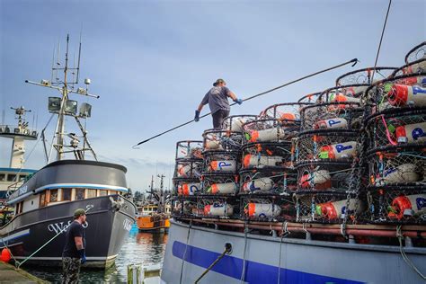 Protect Us Fishermen