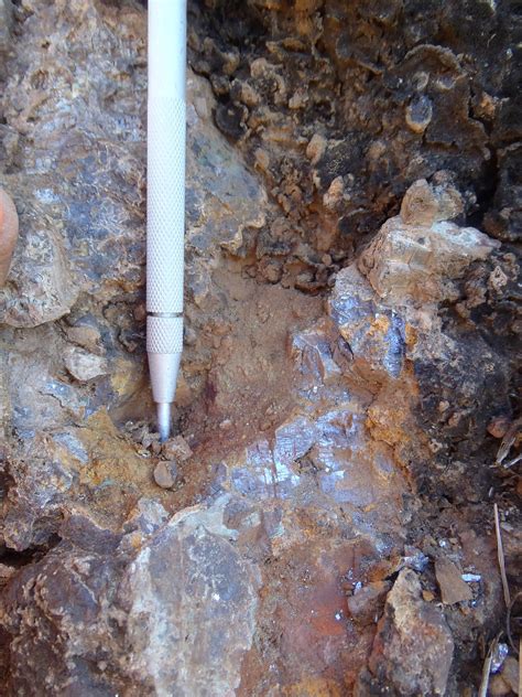 Iron Skarn Optioned For 100 Tiger Tasman Minerals