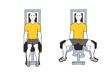 Entrenamiento Y Ejercicios Para Fortalecer El Gl Teo Medio