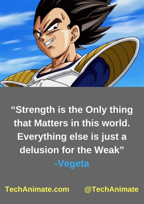 31 Inspirational Vegeta Quotes Strength Pride Life Love