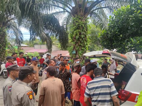 Tertimpa Pohon Seorang Petani Meninggal Dunia Di Seluma