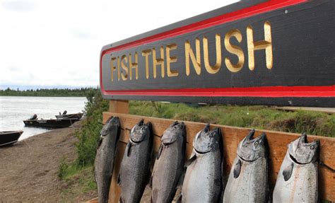 Nushagak River King Salmon Fishing | Fish Alaska Magazine