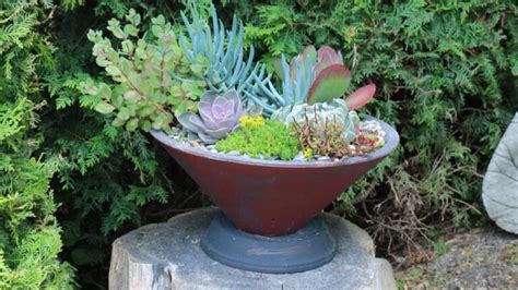 14 Birdbath Planter Ideas For Your Garden Empress Of Dirt