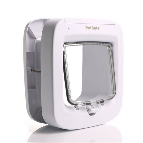 Cat Flap Chip Entry At Pearline Beard Blog