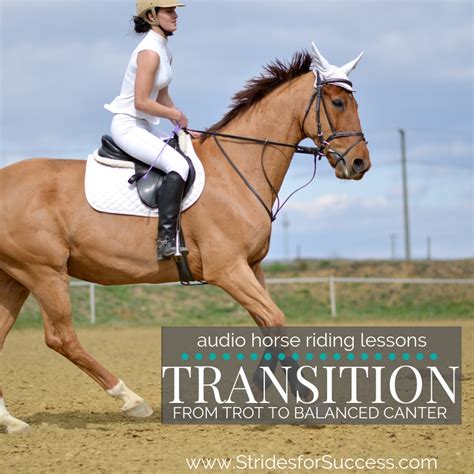 Transition from Trot to Balanced Canter – Daily Strides