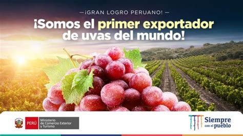 Per Se Convierte En Primer Exportador Mundial De Uvas