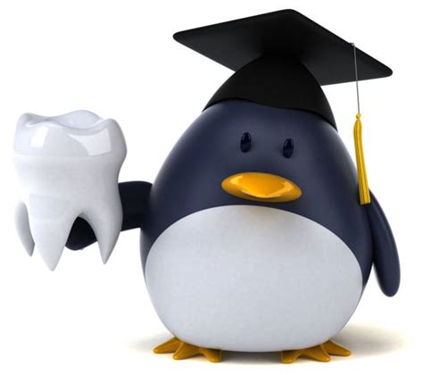 Top Penguin Teeth Stock Photos, Pictures and Images - iStock