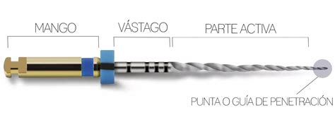 Todo Lo Que Debes Saber Sobre Las Limas De Endodoncia I Limas