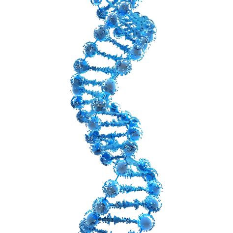 D Blue Dna Helix Sequence Element Isolated Png