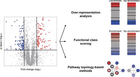 Figure From Comprehensive Overview Of Bottom Up Proteomics Using Mass