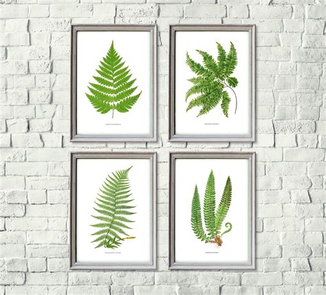 Set Of 4 Botanical Prints Vintage Fern Print Fern Wall Art Etsy