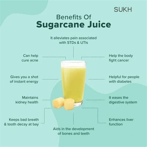 Worldwide Exporter of Sugar Cane Juices, Frozen Sugar Cane, Alcohol ...