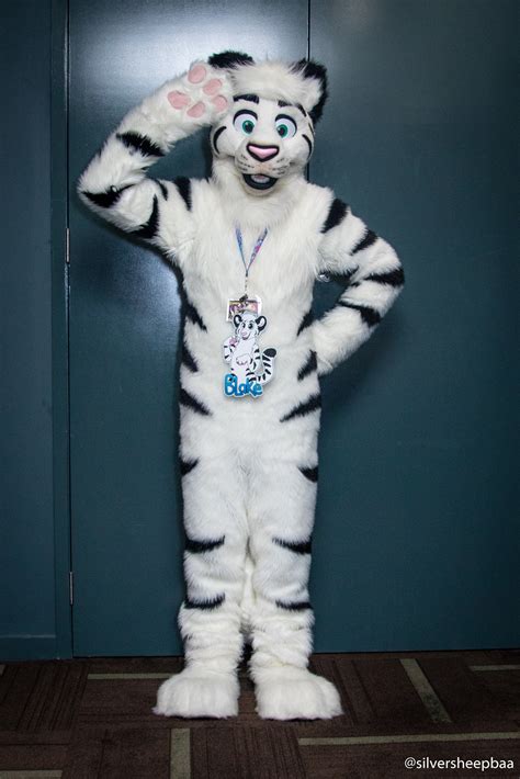 Confurgence 2018 Blake Tiger 2 — Weasyl
