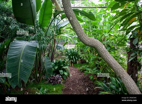 The Walled Garden Of Cannington Stock Photo Alamy