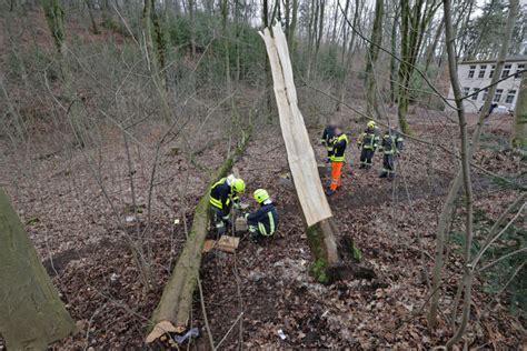 Mann Bei Holzf Ll Arbeiten Vom Baum Getroffen Und Schwer Verletzt