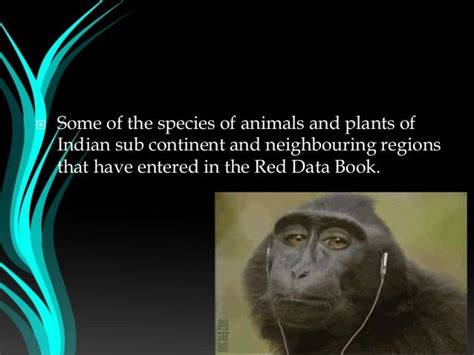 Red Data Book