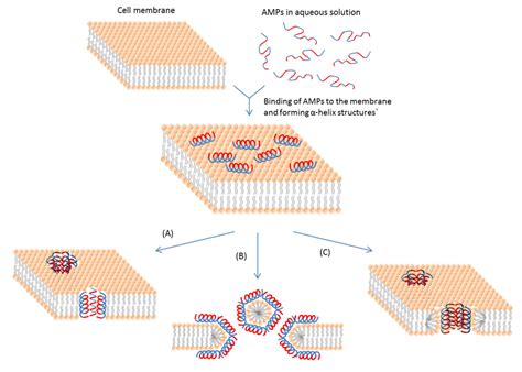 Antimicrobial Peptides From Plants Pdf - anayalhala