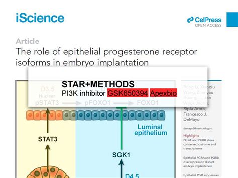 Apexbio Gsk Sgk Inhibitor Cas