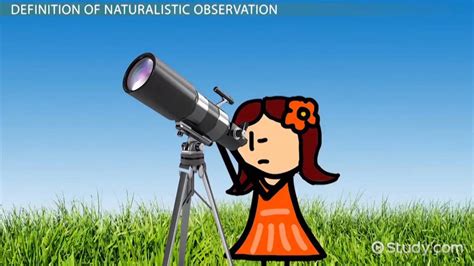 Naturalistic Observation | Definition, Types & Examples - Video | Study.com