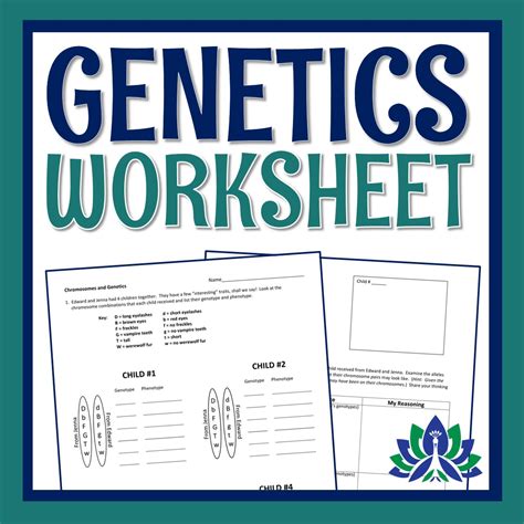 Genetics And Chromosomes Worksheet Flying Colors Science Worksheets Library