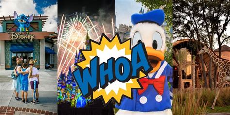 Walt Disney World Vacation Surprises First Timers Will Love